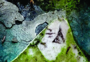 part of the cover of the book The Slowing Ride by Will Stone; looks like broken glazed tiles in turquoise and green and grey, there's a bit of a female face in the middle but mostly it's just cracked and weird