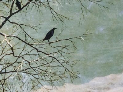 Front cover of 'Still' by Christopher Meredith showing two small black birds perched on a tree branch in the snow