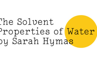 The Solvent Properties of Water