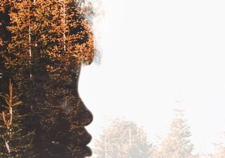 Silhouette of a woman's face looking to the right of the image, her features are obscured be autumnal trees superimposed on the silhouette