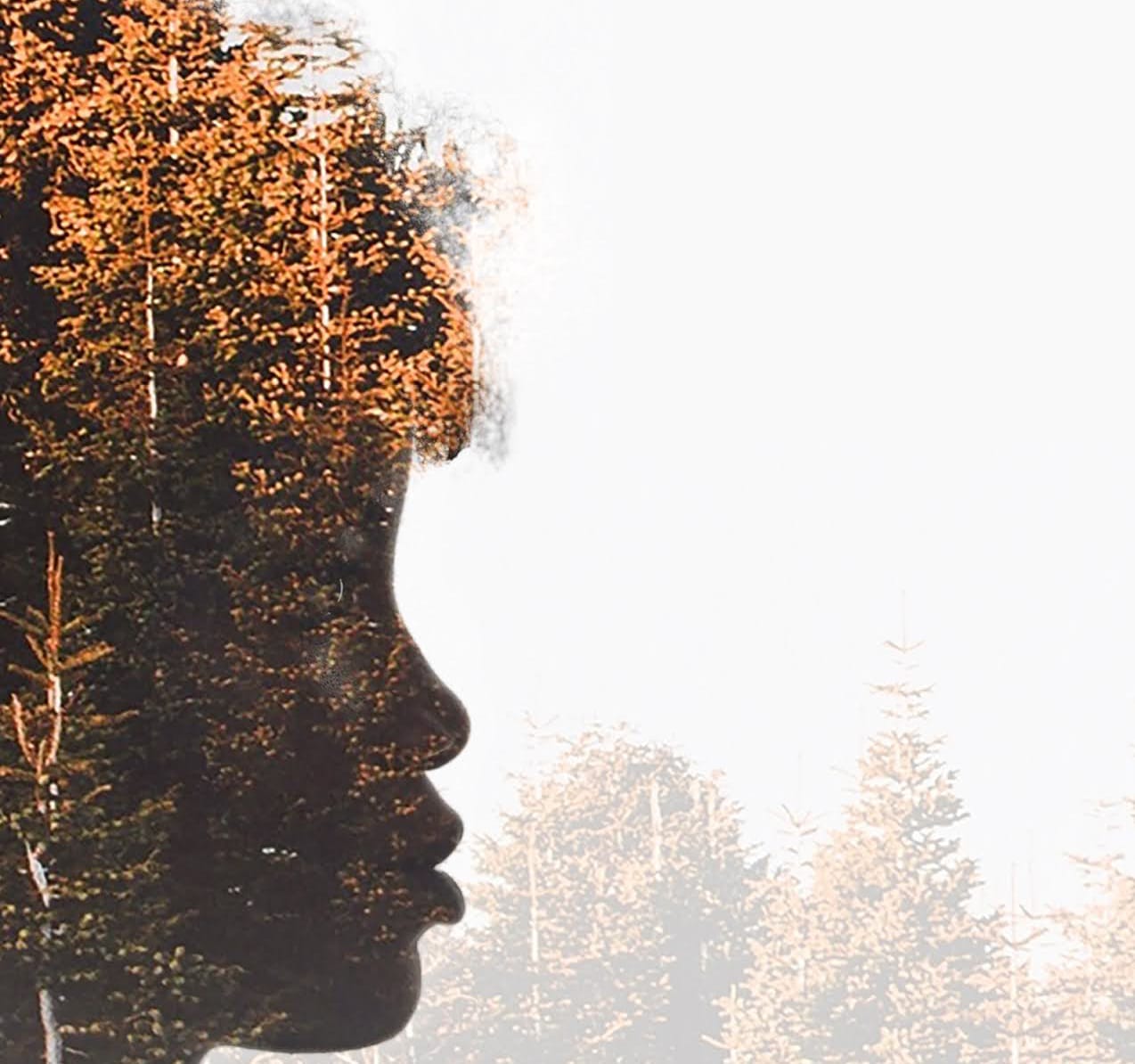 Silhouette of a woman's face looking to the right of the image, her features are obscured be autumnal trees superimposed on the silhouette