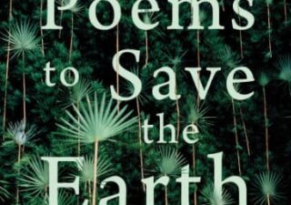 Book cover with the title superimposed on what could be some rain forest trees