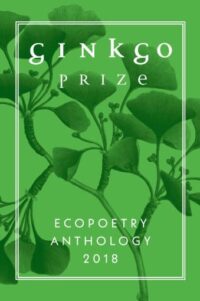 Green book cover with a green leafy branch and text "Ginko prize" in white