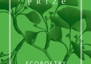 Green book cover with a green leafy branch and text "Ginko prize" in white