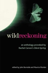 A moth and a quarter of the sun sit on a black background. Text "Wild" in white and "Reckoning" in pink