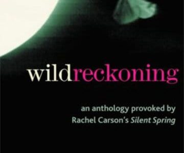 A moth and a quarter of the sun sit on a black background. Text "Wild" in white and "Reckoning" in pink