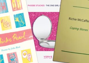 Three book covers. One with six colourful graphics including a bear and a blow up flamingo, one pink sparkle with a chrome compact mirror and one green with black and dark green text