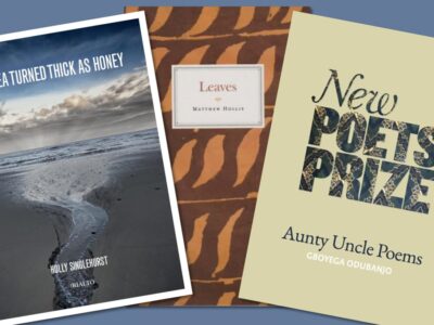 Three pamphlet covers arranged in a fan shape, one has a photograph of a river crossing sand to the sea, one has what looks like an abstract pattern of leaves in shades of brown and one is very pale green with block text in a kind of marbled pattern.