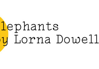 Elephants