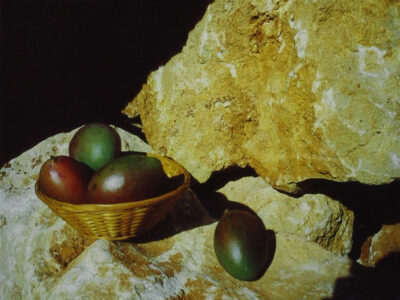 Some mangoes in a basket, and one loose on some large yellowish rocks
