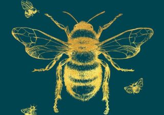 A yellow graphic of a bee seen from above on a green/blue background