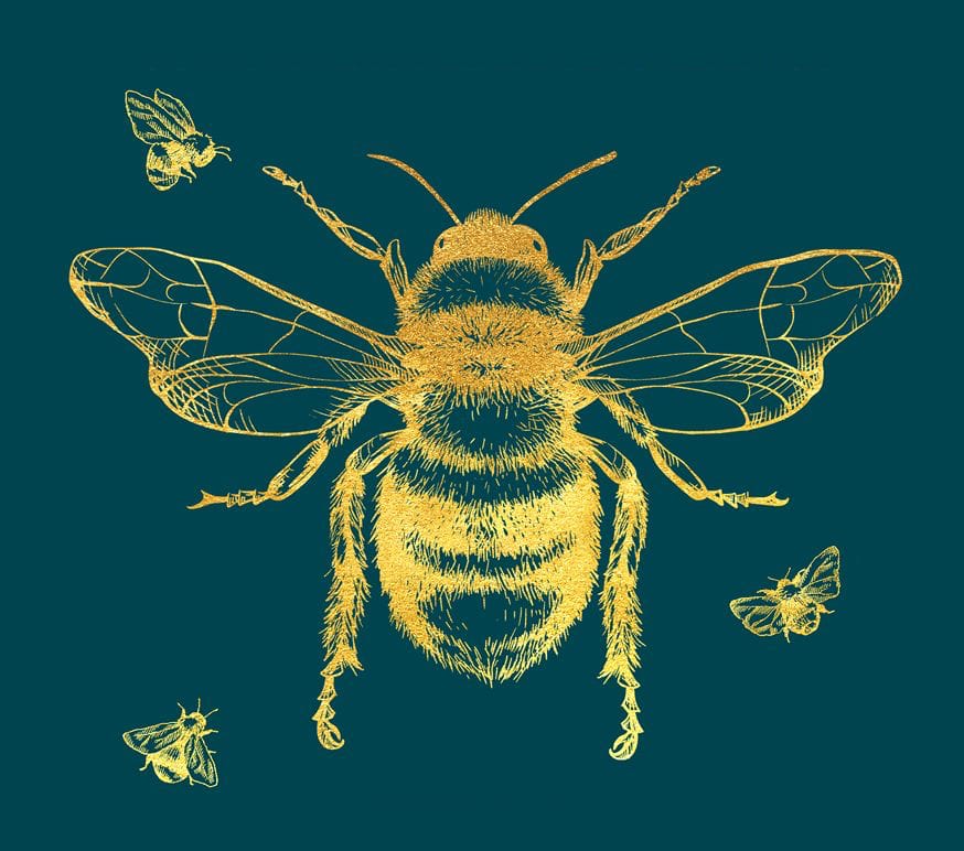 A yellow graphic of a bee seen from above on a green/blue background