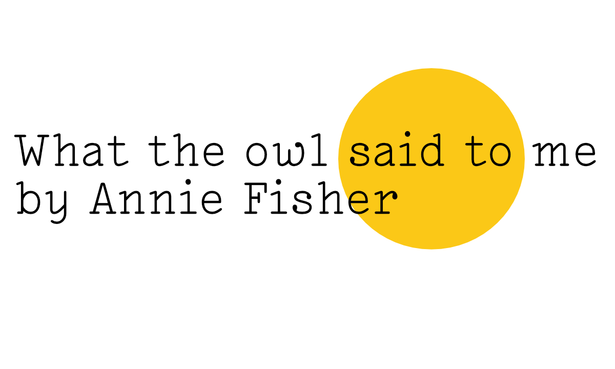 What the owl said to me