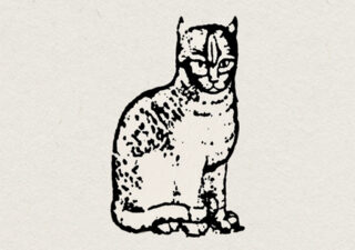 Ink stencil style picture of a cat (the Mariscat cat) on a cream watercolour background.