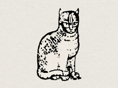 Ink stencil style picture of a cat (the Mariscat cat) on a cream watercolour background.