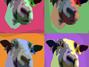 A poster-style graphic that shows four sheep heads each on a different coloured background. It's like Andy Warhol's Marilyn paintings, but with sheep.