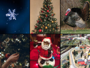 A collection of six images showing a snowflake, a Christmas tree, a turkey, a close up of a hand removing a decoration from a tree, a black Santa and a toy train set.