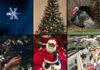 A collection of six images showing a snowflake, a Christmas tree, a turkey, a close up of a hand removing a decoration from a tree, a black Santa and a toy train set.