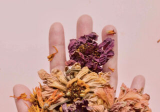 A photograph showing an open hand with some dried flowers on it. The background is pink