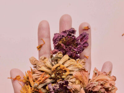 A photograph showing an open hand with some dried flowers on it. The background is pink