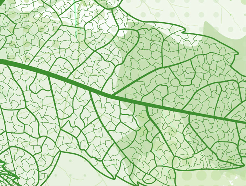 Close up graphic of a green leaf. It is partially transparent on a white background, and the veins running through the leaf are clearly visible.