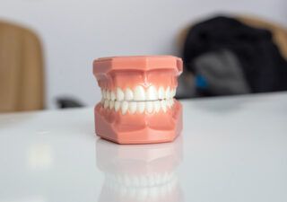 Photograph of a set of dentures.