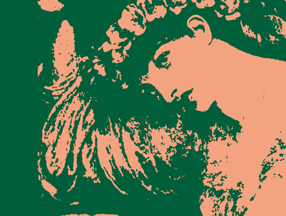 Graphic print showing a woman's head and arm in pale colours. She is wearing a crown of flowers.