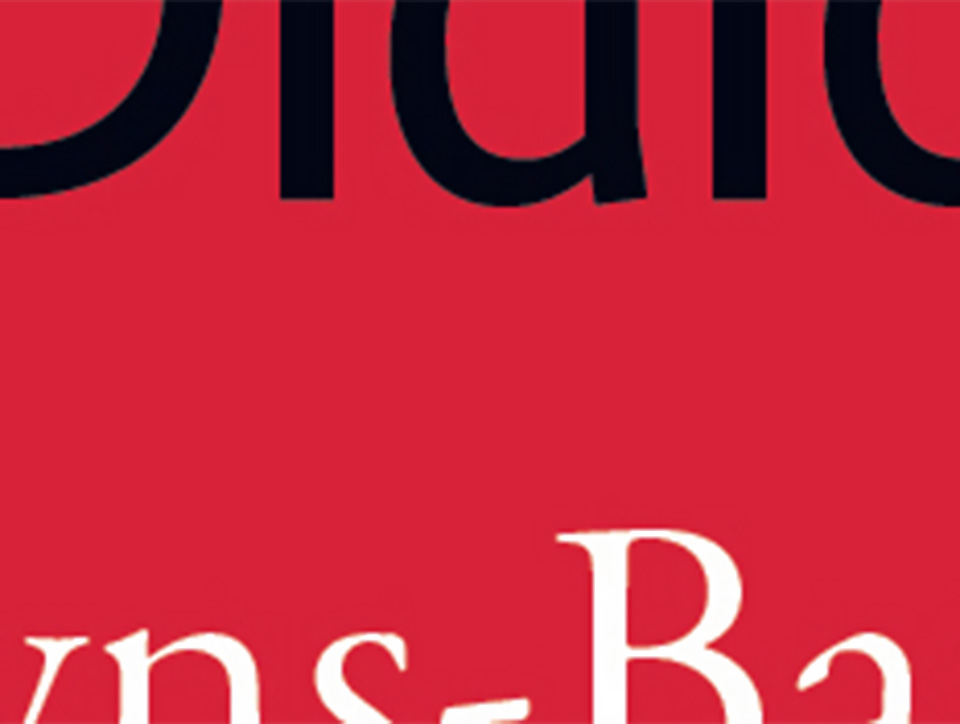 Section of book cover, red background with parts of letters in black and white.