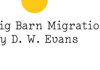 Black text on white reads: ‘Big Barn Migration by D. W. Evans' with half a small yellow Friday Poem blob visible disappearing off the top edge.