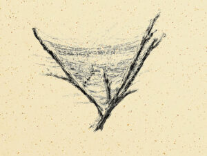A pencil sketch, grey on a cream background. Looks like the branches of a tree.