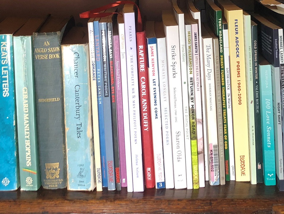 Photograph showing poetry books on a bookshelf.