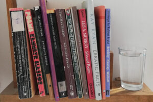 Bookshelf photograph showing various titles and...inexplicably a glass of water. Water? Absinthe maybe...but water?