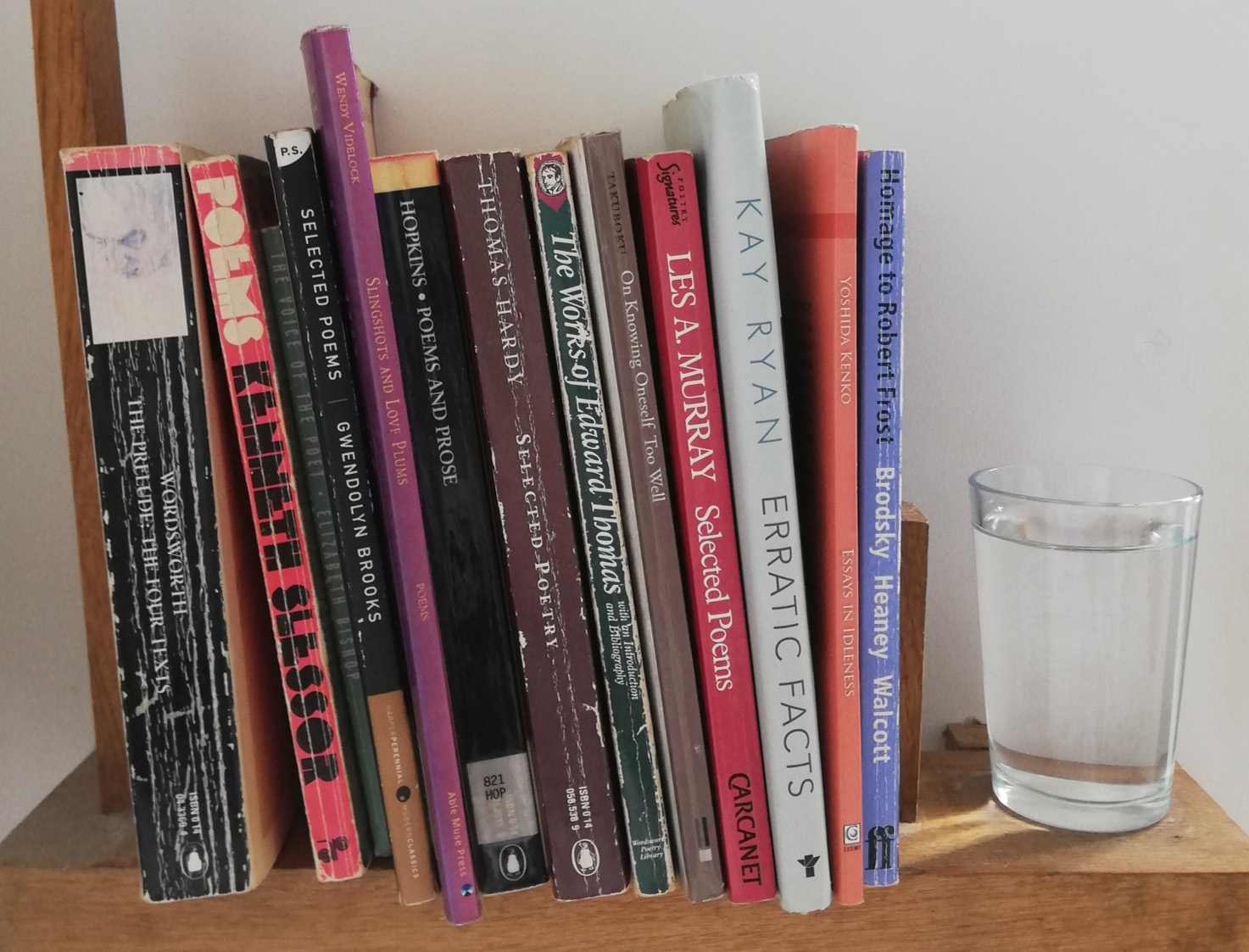 Bookshelf photograph showing various titles and...inexplicably a glass of water. Water? Absinthe maybe...but water?