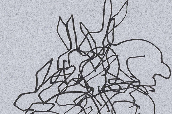 Hares cunningly disguised as squiggles. On a grey background.
