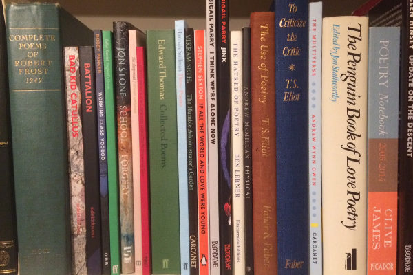 Photo of Nell's bookshelf. Predictably, there are poetry books.