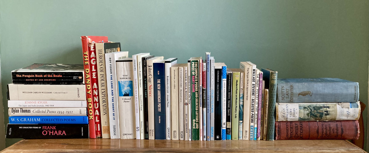 A photograph showing poetry books on a bookshelf.