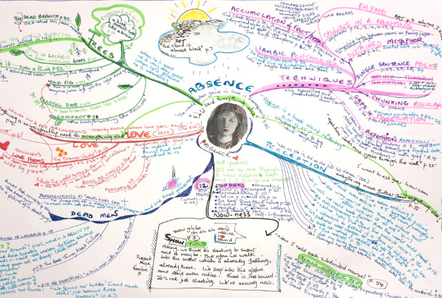 Coloured drawing showing the mind map process. There is a small picture of a woman's head in the centre and lines of text on various colours running all over the page a little like the branches of a tree.
