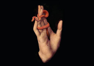 A black background with a painting of a vertical hand. A small red snake is entwined in the fingers and the tail seems to be piercing the palm.