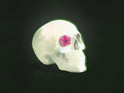 Image of a white skull on a black background. The skull has a pink flower in the right eye socket.