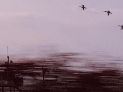 A blurry image that shows the sky in a light lilac hue. There are brown buildings at the bottom and three birds fly in from the right.