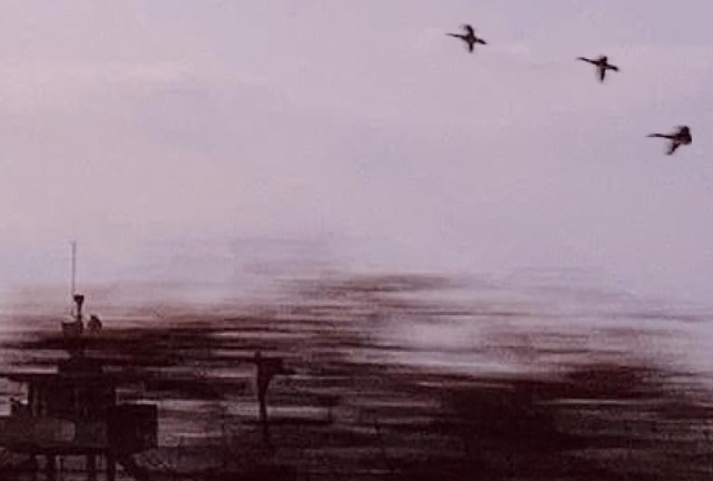 A blurry image that shows the sky in a light lilac hue. There are brown buildings at the bottom and three birds fly in from the right.