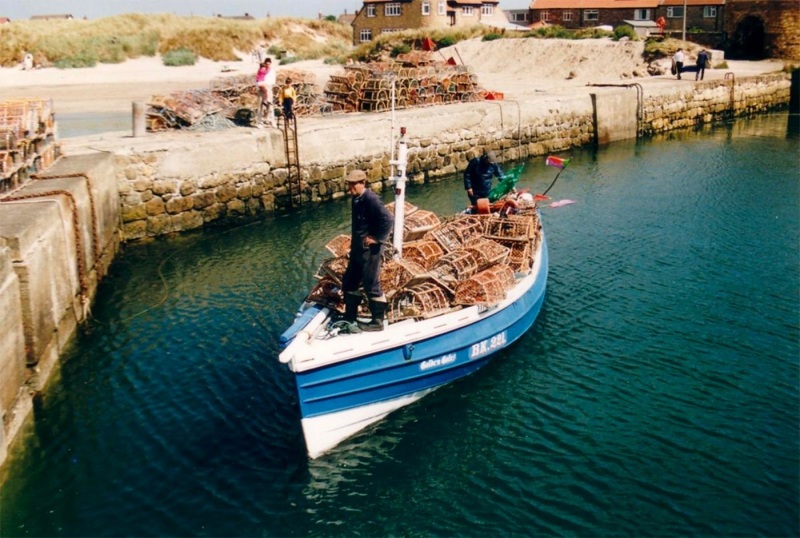 Coble Golden Gate with lobster pots. Beadnell 1993