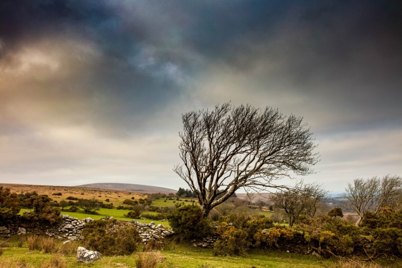 Dartmoor