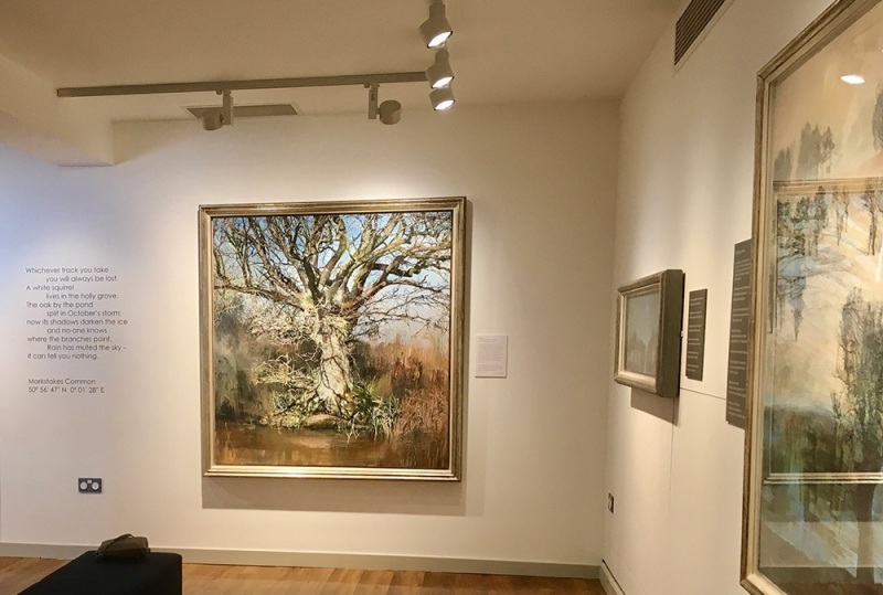 'Springlines' at St Barbe Museum & Art Gallery, Lymington, 2018